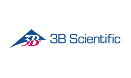3BS